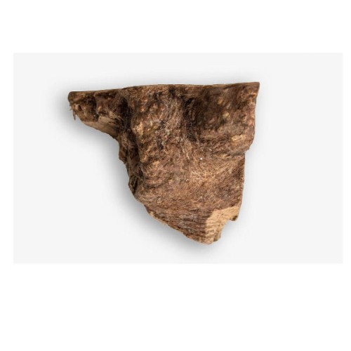 RECOSNACK ROOT XL Korzeń drzewa wrzosowego - naturalny gryzak dla psa (.jpg