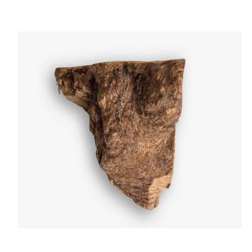 RECOSNACK ROOT S Korzeń drzewa wrzosowego - naturalny gryzak dla psa.jpg