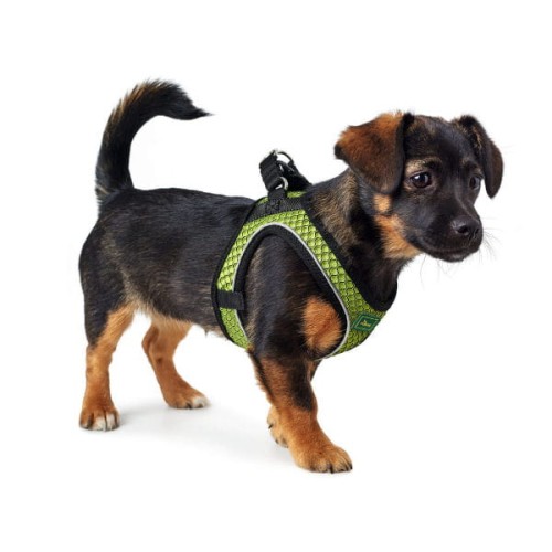 HUNTER SZELKI HILO COMFORT LIMONKOWE 1.jpg