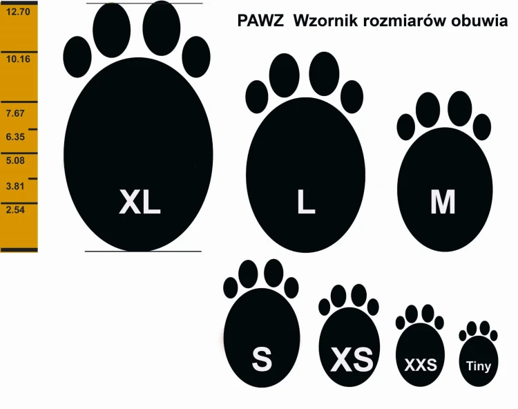 Wzornik obuwia.jpg