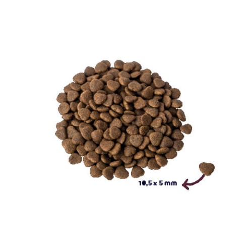 RENSKE FRESH SALMON granulki.jpg