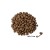 RENSKE FRESH SALMON granulki.jpg