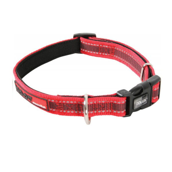 ZOLUX Obroża regulowana MOOV - 40 mm - kolor czerwony.jpg