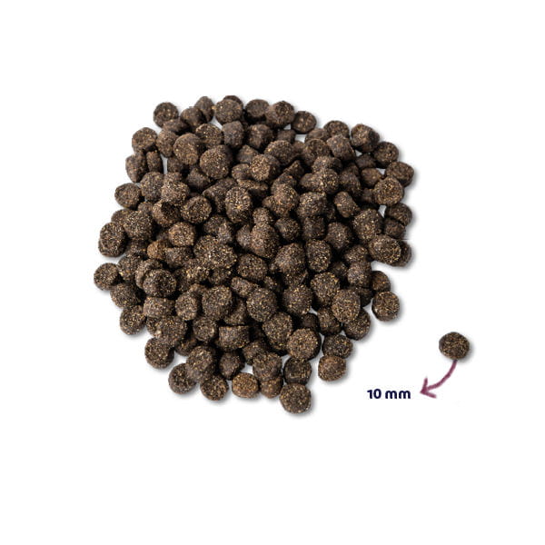 RENSKE MIGHTY OMEGA 3 PLUS Karma sucha PREMIUM ze świeżą jagnięciną dla psów i szczeniąt wszystkich ras - 15 kg.jpg