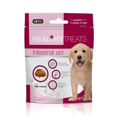 Vetiq Przysmaki dla szczeniąt wsparcie układu pokarmowego Healthy Treats Intestinal Aid For Puppies 50g.jpg