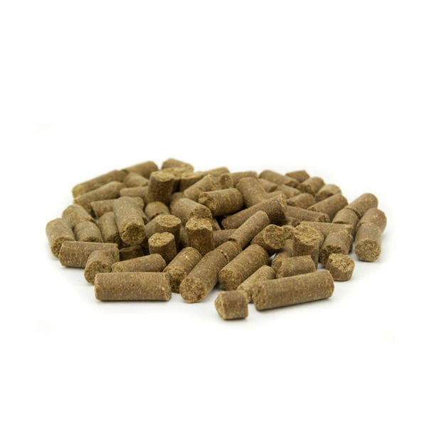 Tribal-cold-pressed-karma-dla-psa-swiezy-indyk 1.jpg