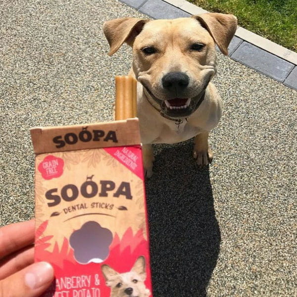 SOOPA  Dental Stick Cranberry &amp; Sweet Potato 1.jpg