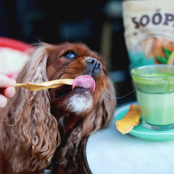 Papaya Dog Treats 2.jpg