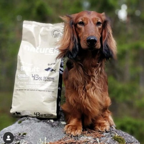 NATUREA ADULT SMALL BREED TUNA Kompletna karma z tuńczykiem dla dorosłych psów małych ras .jpg