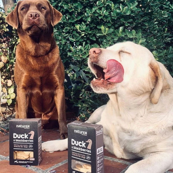 NATUREA  DUCK Biszkopty bezzbożowe z kaczką i jeżynami dla kotów i psów - psy.jpg