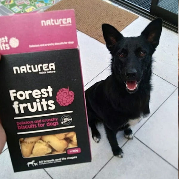 NATUREA FORREST FRUITS Biszkopty bezzbożowe z owocami leśnymi dla kotów i psów - piesek czeka.jpg