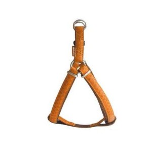 ZOLUX Szelki regulowane Mac Leather 20mm - kolor miodowy