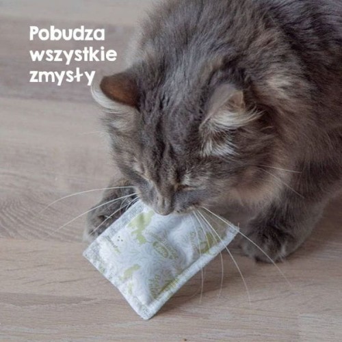 True-Hemp---Poduszka-dla-kota-z-konopiamia 2.jpg