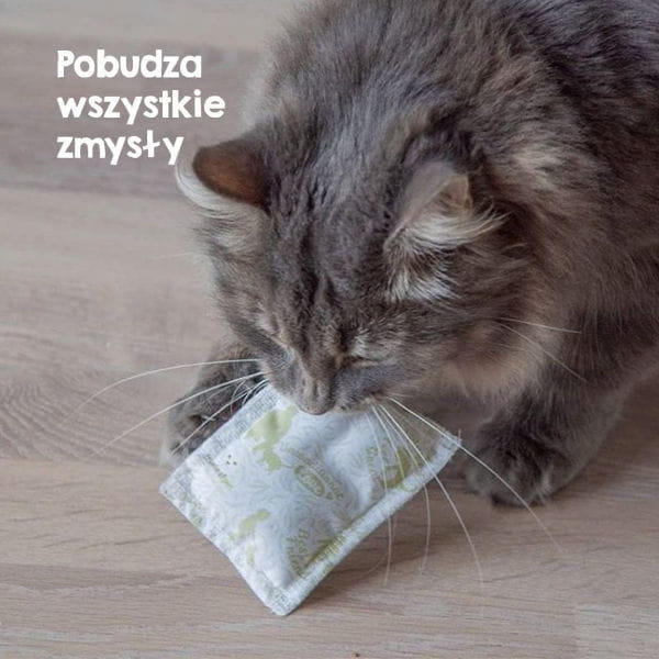 True-Hemp---Poduszka-dla-kota-z-konopiamia 2.jpg