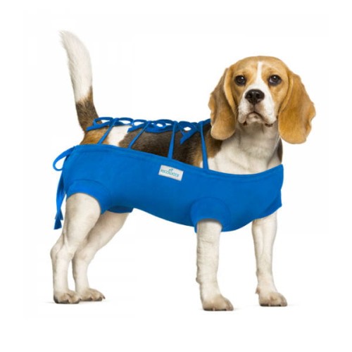 Ubranko pooperacyjne ochronne dla psa.jpg