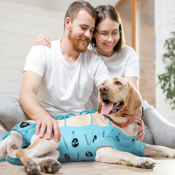 Ubranko pooperacyjne ochronne z jonami srebra dla psa 2.jpg