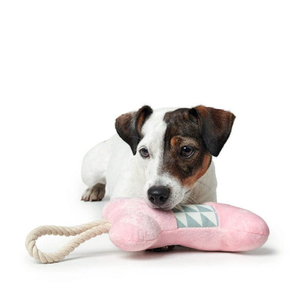 HUNTER Zabawka dla psa SALIMA KOŚĆ.jpg