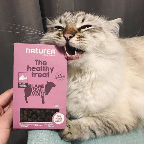 NATUREA TURKEY Przysmaki bezzbożowe dla kotów.jpg