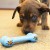 KONG GOODIE BONE PUPPY ZABAWKA DLA PSA - zabawka i oies .jpg