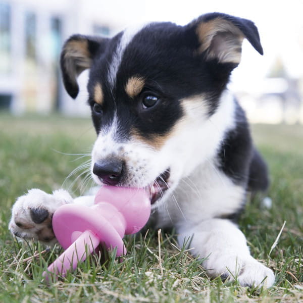KONG PUPPY BINKY - zabawka dla psa - rozmiar S - pies gryzie.jpg