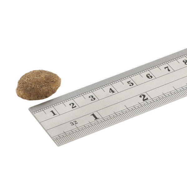 Fish4Dogs SUPERIOR WEIGHT CONTROL Karma sucha z łososiem dla psów na z nadwagą, seniorów i psów  sterylizowanych dużych ras - wielkość - duża rasa.jpg