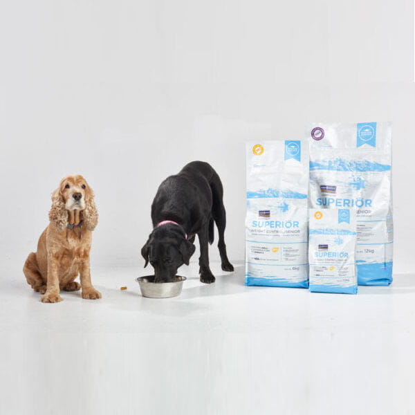 Fish4Dogs SUPERIOR WEIGHT CONTROL Karma sucha z łososiem dla psów na z nadwagą, seniorów i psów  sterylizowanych dużych ras -  2.jpg