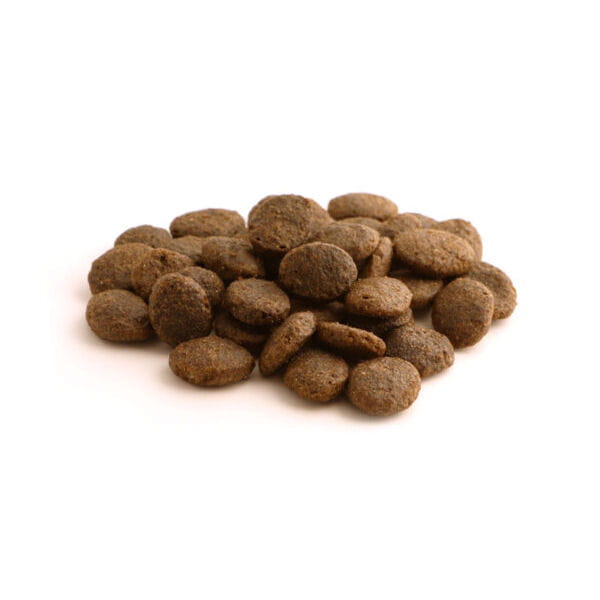 Fish4Dogs SUPERIOR ADULT COMPLETE Karma sucha z łososiem dla psów dorosłych dużych ras - duża granulka.jpg