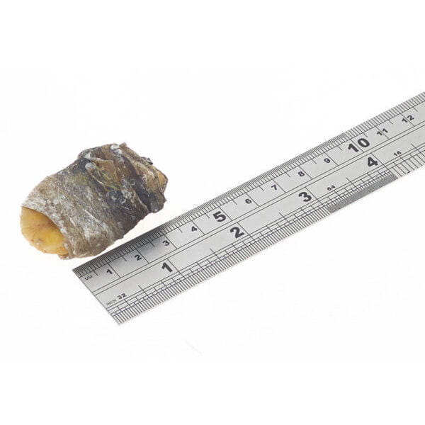 Fish4Dogs LOVE BANANA FISH WRAPS Przysmaki z suszonego banana w skórze ryby -  wielkość.jpg