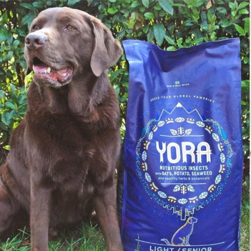 YORA DOG SENIOR LIGHT Karma ekologiczna z insektów dla psów starszych i z nadwagą.jpg