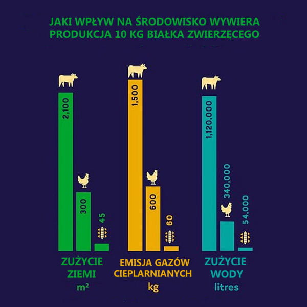 YORA DOG Karma ekologiczna z insektów dla psów 4.jpg