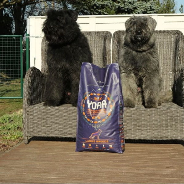 YORA DOG LARGE BREEDS Karma ekologiczna z insektów dla dorosłych psów dużych ras 1.jpg