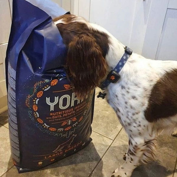 YORA DOG LARGE BREEDS Karma ekologiczna z insektów dla dorosłych psów dużych ras 2.jpg