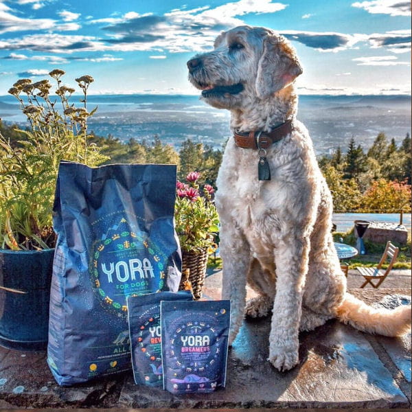 YORA DOG ALL BREEDS Karma ekologiczna z insektów dla dorosłych psów wszystkich ras 2.jpg