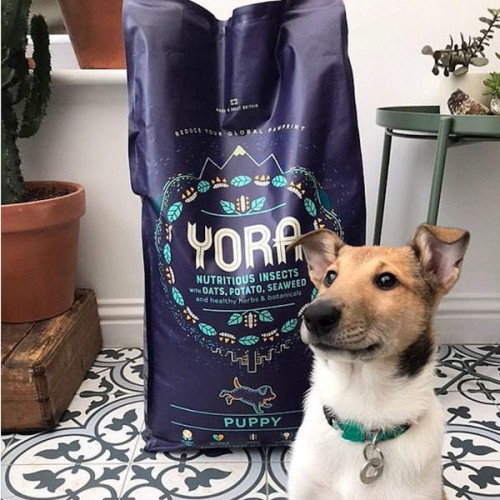 YORA PUPPY Karma ekologiczna z insektów dla szczeniąt  .jpg