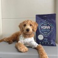 YORA PUPPY Karma ekologiczna z insektów dla szczeniąt  3.jpg.jpg
