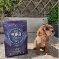 YORA PUPPY Karma ekologiczna z insektów dla szczeniąt 2.jpg.jpg