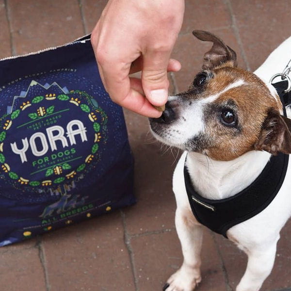 YORA DOG SMALL BREEDS Karma ekologiczna z insektów dla dorosłych psów małych ras 2.jpg