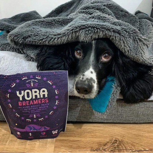 YORA DREAMERS Relaksujące przysmaki z insektami dla psów. 1.jpg