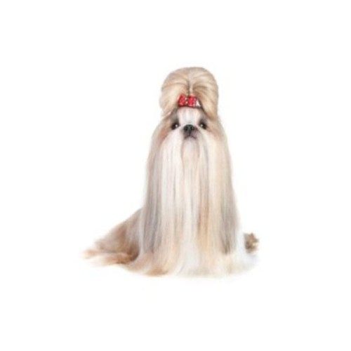 CHAMP-RICHER SZAMPON SHIH TZU 1.jpg