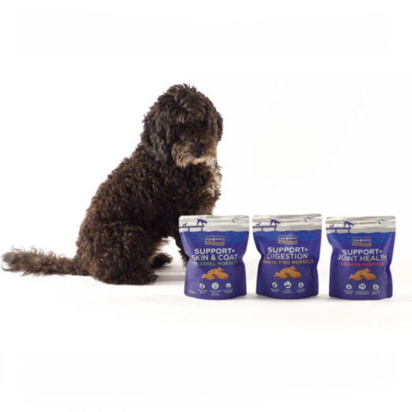 FISH4DOGS SUPPORT + JOINT HEALTH SALMON MORSELS Przysmaki z łososiem wspierające stawy u psa -  i pies.jpg