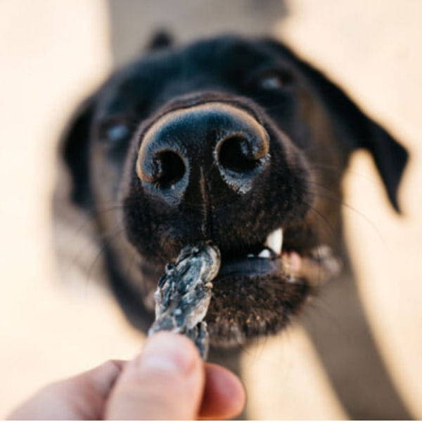 FISH4DOGS DENTAL SEA JERKY FISH TWISTS Przysmaki dentystyczne z rybich skór dla psów - i pies.jpg