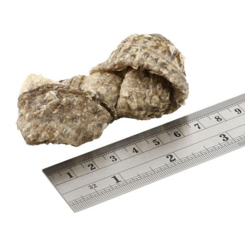 FISH4DOGS DENTAL SEA JERKY FISH KNOTS Przysmaki dentystyczne z rybich skór dla psów - wielkość.jpg