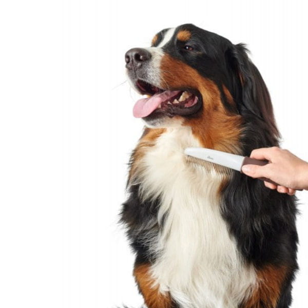 HUNTER GRZEBIEŃ DO PIELĘGNACJI DLA PSA I KOTA GROOMING Z OBROTOWYMI ZĄBKAMI -  4.jpg