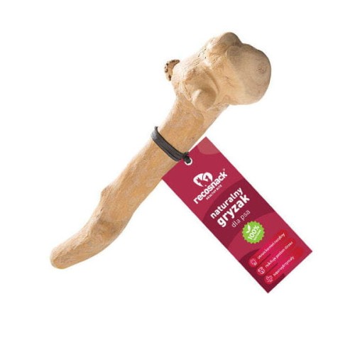 RECOSNACK STICK S Patyk z drzewa kawowego - gryzak dla psów - różne rozmiary.jpg