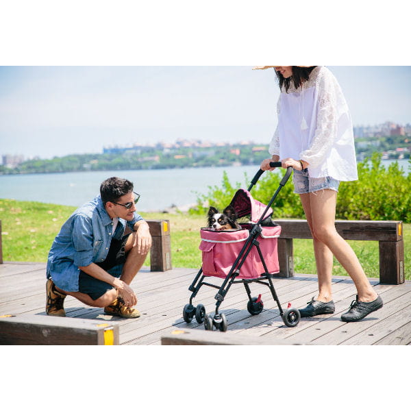 Ibiyaya Wózek Astro Go różowy FS1732-P - 5.jpg