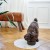 HUNTER Miska ceramiczna OSBY dla psa - kolor  antracytowy -  i pies.jpg