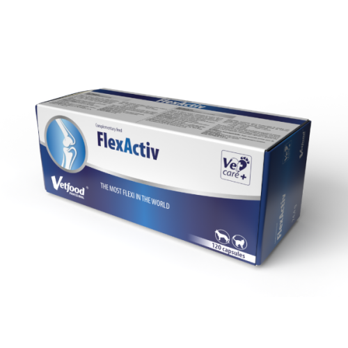 VETFOOD FlexActiv  Preparat wspomagający funkcjonowanie stawów dla psów i kotów.png