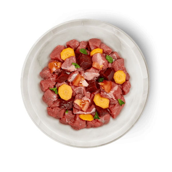 TERRA FELIS BEEF Karma mokra z wołowiną dla kotów - detal.jpg