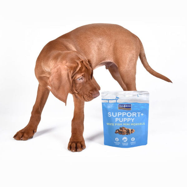 Fish4Dogs PUPPY WHITE FISH MINI MORSELS – Przysmaki funkcyjne na przewód pokarmowy dla szczeniąt - 150 g - 1.jpg