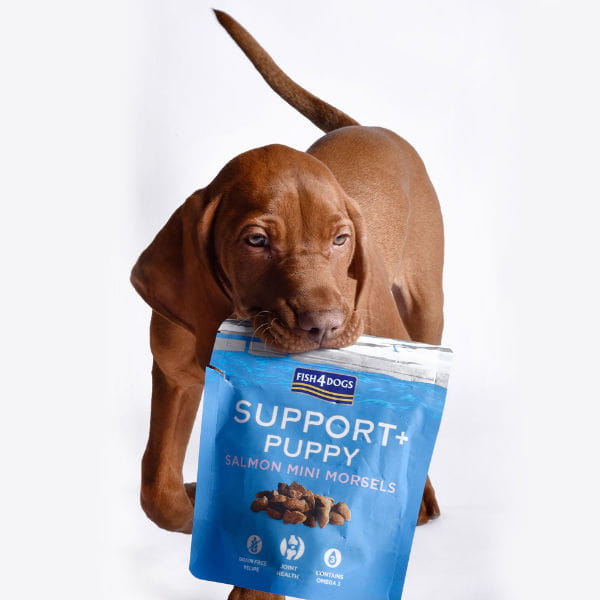 Fish4Dogs PUPPY SALMON MINI MORSELS – Przysmaki funkcyjne na stawy dla szczeniąt - 150 g - i szczeniak.jpg
